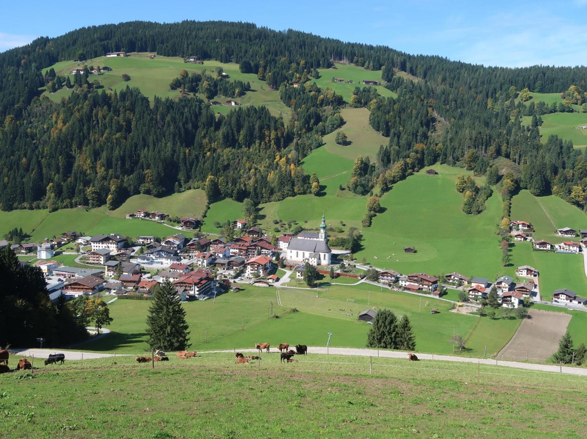 Wimmers Hundsegghof WILD001 Niederau Exterior foto